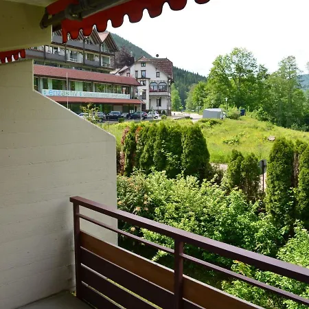 Wohnen Am Kurpark Апартаменты Бад-Вильдбад