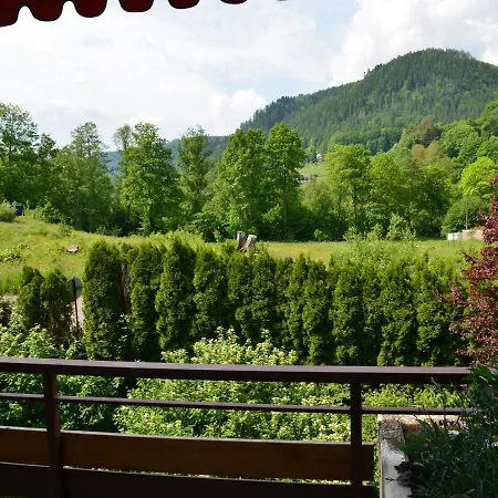Wohnen Am Kurpark Bad Wildbad